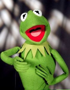 http://www.searchenginepeople.com/wp-content/uploads/2008/04/kermit-the-frog.jpg