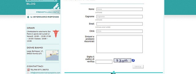 contact-form