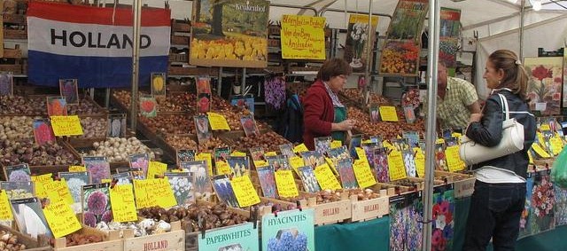 flower bulbs stand at an open market