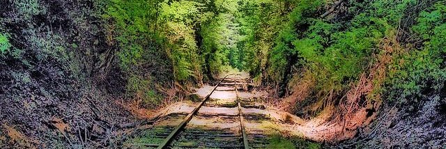 train-tracks