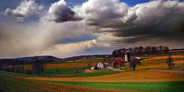 farm